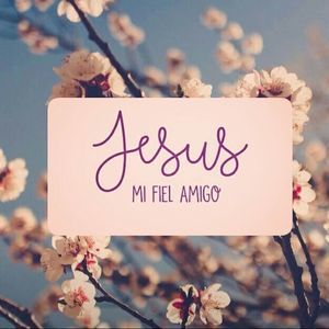 Meet your Posher, Sareya